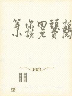 等你回头说爱我小说免费阅读全文