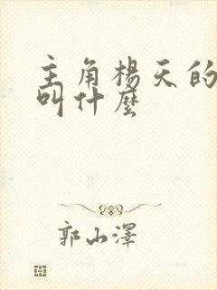 主角杨天的小说叫什么