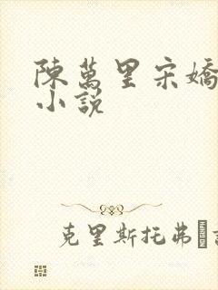 陈万里宋娇娇姐小说