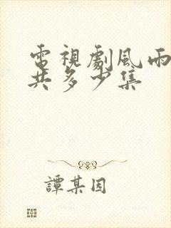 电视剧风雨潮一共多少集