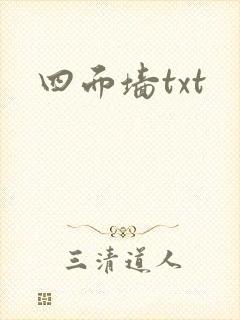 四面墙txt