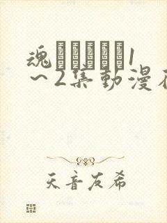 魂インサート1～2集动漫在线播放