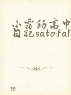 小霜的高中成长日记satofall