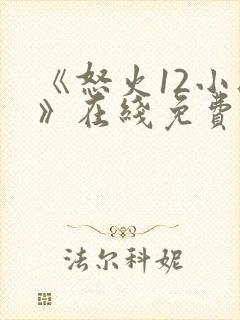 《怒火12小时》在线免费观看