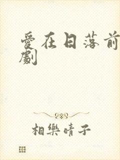 爱在日落前电视剧