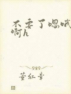 不要了嗯哦啊啊啊h封面
