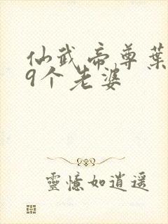 仙武帝尊叶辰19个老婆