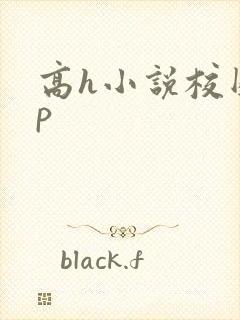 高h小说校园np