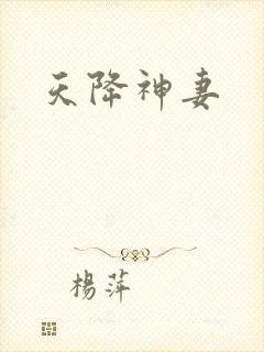 天降神妻