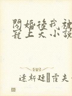 闪婚后我被大佬宠上天小说