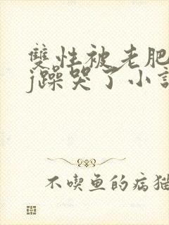 双性被老肥丑qj躁哭了小说