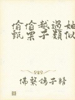 偷偷越过她by甄栗子类似小说