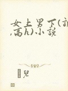 女上男下(调教,高h)小说封面