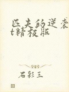 匹夫的逆袭txt精校版封面