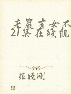 老严有女不愁嫁21集在线观看封面