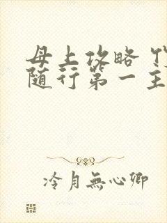 母上攻略 竹影随行第一主板