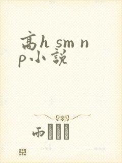 高h sm np小说