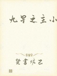 九星之主小说