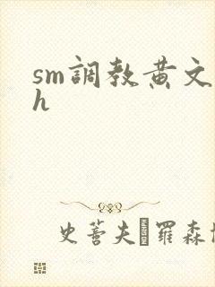 sm调教黄文高h