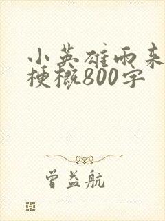 小英雄雨来故事梗概800字