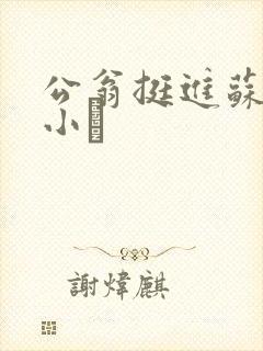 公翁挺进苏玥的小泬封面