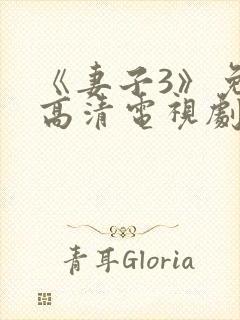 《妻子3》免费高清电视剧完整版封面