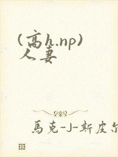 (高h.np)人妻