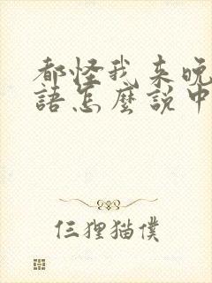 都怪我来晚了日语怎么说中文谐音封面