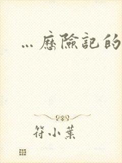 …历险记的故事