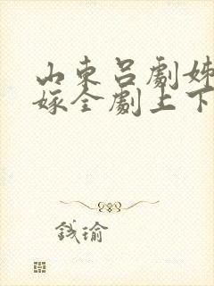 山东吕剧姊妹易嫁全剧上下集电影