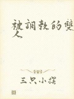 被调教的双性美人封面