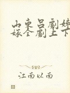 山东吕剧姊妹易嫁全剧上下集电影