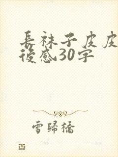 长袜子皮皮的读后感30字