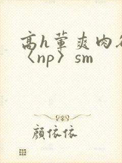 高h荤爽肉欲文〈np〉sm封面
