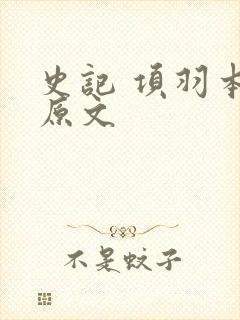 史记 项羽本纪原文