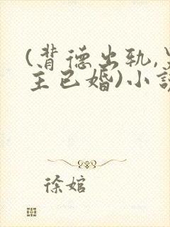 (背德出轨,男主已婚)小说