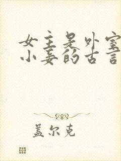 女主是外室或者小妾的古言