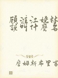 顾淮江娆林澈小说叫什么名字