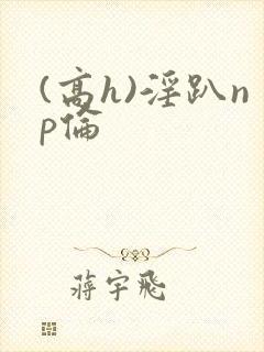(高h)淫趴np伦