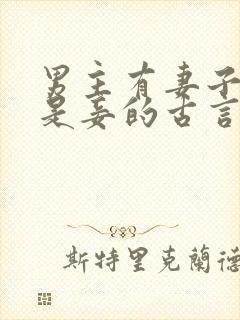 男主有妻子女主是妾的古言封面