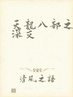 天龙八部之极乐深交封面