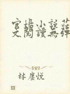 官场小说庄岩全文阅读无弹窗