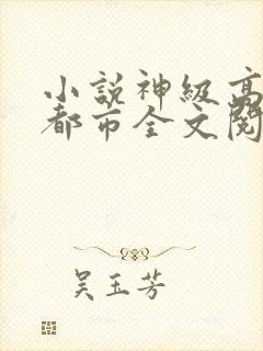 小说神级高手在都市全文阅读封面