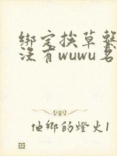 绑定挨草系统后没有wuwu名字