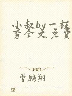 小叔by一枝独秀全文免费阅读笔趣阁最