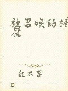 被召唤的榨x魅魔