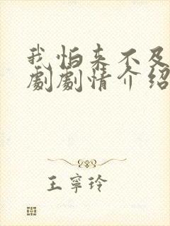 我怕来不及电视剧剧情介绍