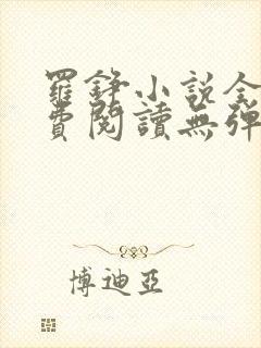 罗铮小说全文免费阅读无弹窗