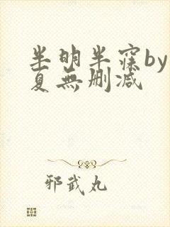 半明半寐by半夏无删减