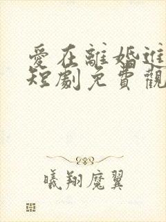 爱在离婚进行时短剧免费观看全集封面